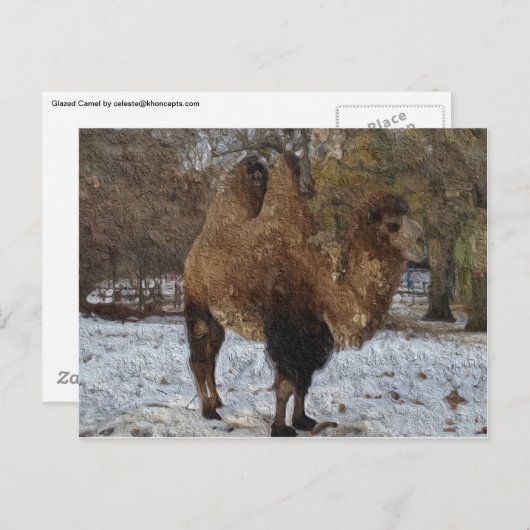 Glazed Camel Art Briefkaart (Voorkant / Achterkant)