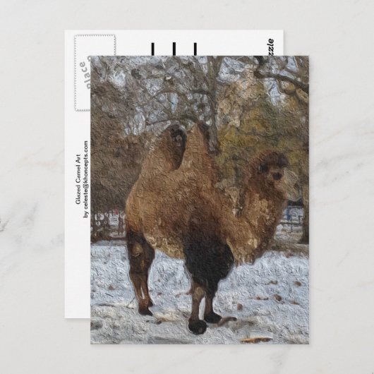 Glazed Camel Art Briefkaart (Voorkant / Achterkant)