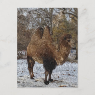 Glazed Camel Art Briefkaart