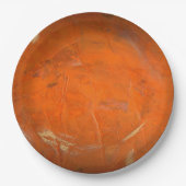 Glazed Terracotta Faux Finish Papieren Bordje (Voorkant)