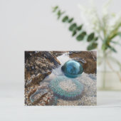 Glazen float en anemon briefkaart (Staand voorkant)