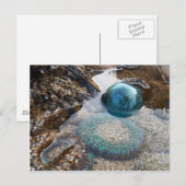 Glazen float en anemon briefkaart (Voorkant / Achterkant)