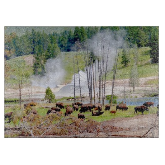 Glazen keuken snijplank - Yellowstone Bizon (Voorkant)