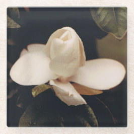 Glazen Onderzetter met een Magnolia Blossom Design