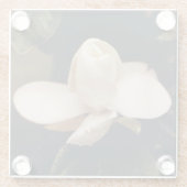 Glazen Onderzetter met een Magnolia Blossom Design (Achterkant)