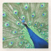 Glazen Onderzetter - Peacock (Voorkant)
