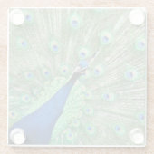 Glazen Onderzetter - Peacock (Achterkant)