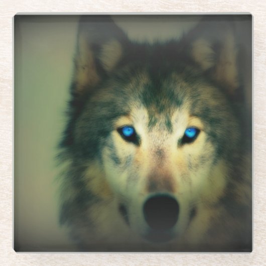 Glazen Onderzetter/Wolf Onderzetter (Voorkant)