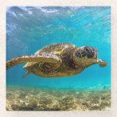 Glazen Onderzetter-Zeeen schildpad Onderzetter (Voorkant)