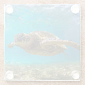 Glazen Onderzetter-Zeeen schildpad Onderzetter (Achterkant)