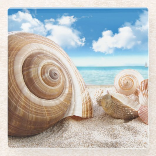 Glazen Onderzetter-zeeschelpen Onderzetter (Voorkant)
