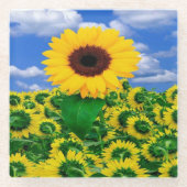 Glazen Onderzetter-Zonnebloemen Onderzetter (Voorkant)