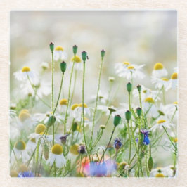 Glazen Onderzetters - Korenbloemen en Paisies