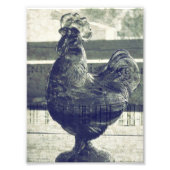 glazen rooster foto afdruk (Voorkant)