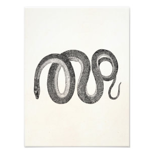 glazen slang - retiele Sjabloon leeg Foto Afdruk