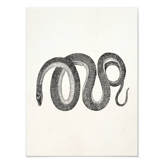  glazen slang - retiele Sjabloon leeg Foto Afdruk (Voorkant)