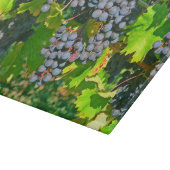 GLAZEN SNIJPLANK, "DRUIVEN OP DE WIJNSTOK" SNIJPLANK (Hoek)