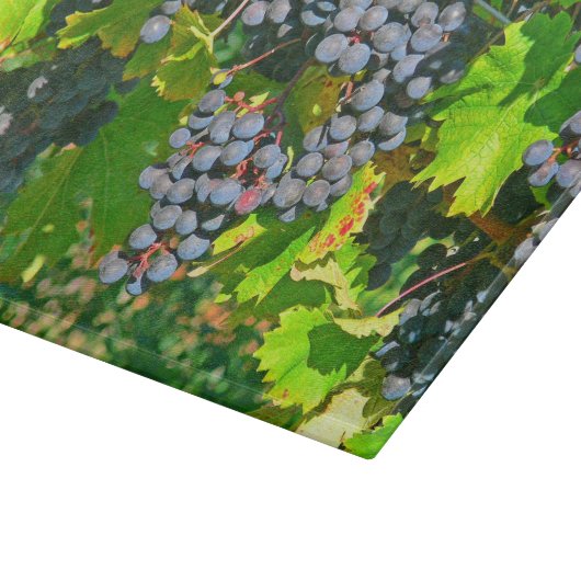 GLAZEN SNIJPLANK, "DRUIVEN OP DE WIJNSTOK" SNIJPLANK (Hoek)