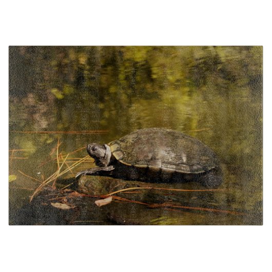 Glazen snijvlak - Turtle on Log-in Pond Snijplank (Voorkant)