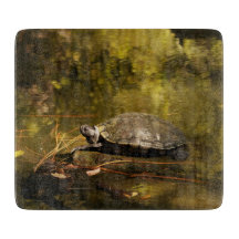 Glazen snijvlak - Turtle on Log-in Pond