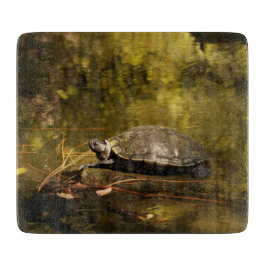 Glazen snijvlak - Turtle on Log-in Pond Snijplank