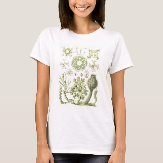 Glazen sponzen t-shirt (Voorkant)