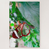 Glazen vleugelvlinder. legpuzzel (Verticaal)