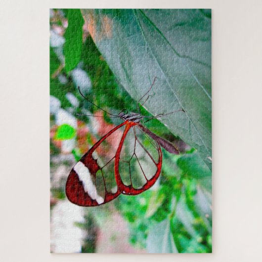 Glazen vleugelvlinder. legpuzzel (Verticaal)