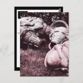 glazen zomersappelpitten briefkaart (Voorkant / Achterkant)