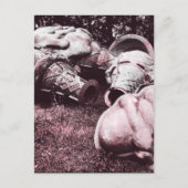 glazen zomersappelpitten briefkaart (Voorkant)