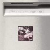 glazen zomersappelpitten magneet (Insitu (Vaatwasser))