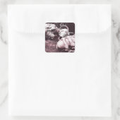 glazen zomersappelpitten vierkante sticker (Tas)