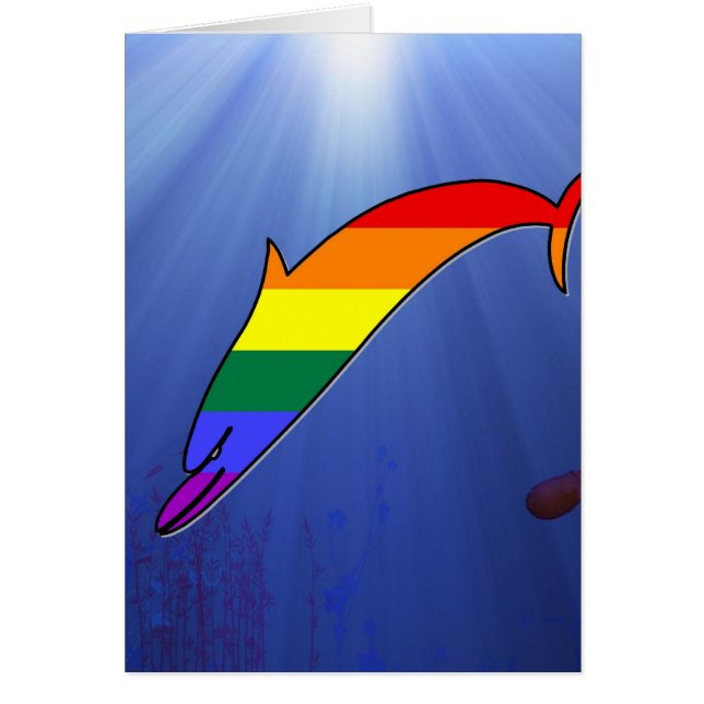 GLBT Pride Dolphin (Voorkant)