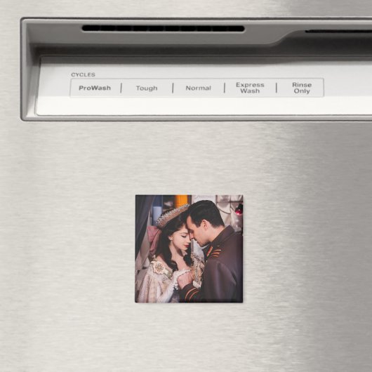 Glebga Magneet (Insitu (Vaatwasser))