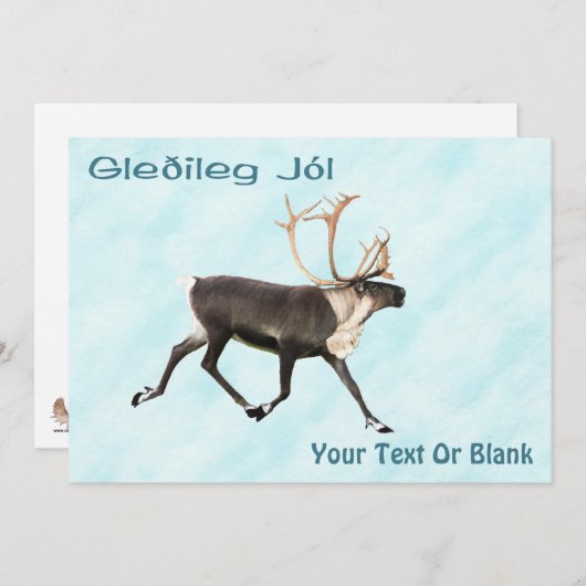 Gleðileg Jól - Bull Cariou (rendier) op sneeuw (Voorkant / Achterkant)