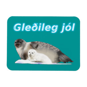 Gleðileg jól - Ringed zegel Magneet