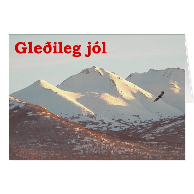 Gleðileg Jól - Winter Eagle (Voorkant Horizontaal)