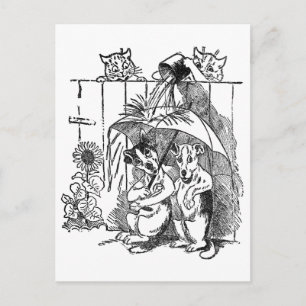 Gleeful Cats Douse Dogs  Louis Wain Briefkaart