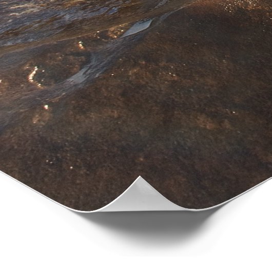 Glen Brittle. Zuivelpool. Poster (Hoek)