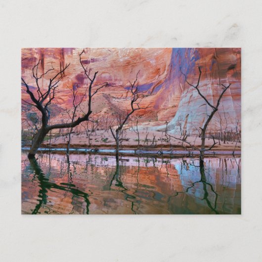 Glen Canyon National Recreation Area, Utah Briefkaart (Voorkant)