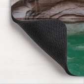 Glen Canyon National Recreation Area, Utah Muismat (Hoek)