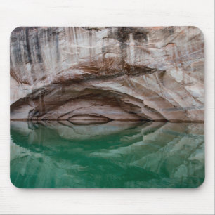 Glen Canyon National Recreation Area, Utah Muismat