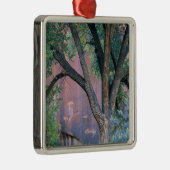 Glen Canyon National Recreation Area, Utah. VS. Metalen Ornament (Rechts)