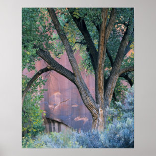 Glen Canyon National Recreation Area, Utah. VS. Poster