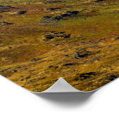Glen Coe, Schotland Poster (Hoek)