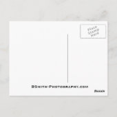 Glen Ellis Herfsten Briefkaart (Achterkant)