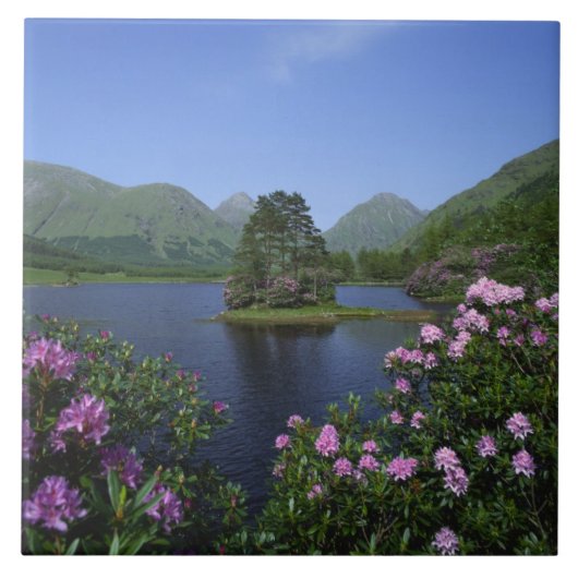 Glen Etive, Highlands, Schotland Tegeltje (Voorkant)