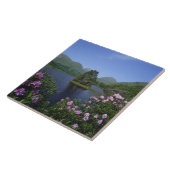 Glen Etive, Highlands, Schotland Tegeltje (Zijkant)