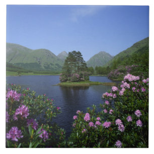 Glen Etive, Hooglanden, Schotland Tegeltje