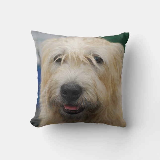 glen-of-imaal-terrier-7.jpg kussen (Voorkant)